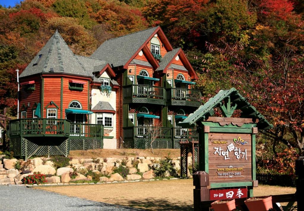 Gyeongju Jy Pension المظهر الخارجي الصورة